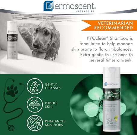 Dermoscent PYOclean Shampoo kutyáknak és macskáknak