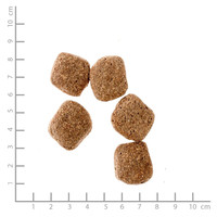 Belcando Adult Dinner #6