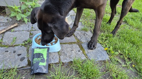 Food Studio ír bárány csontleves