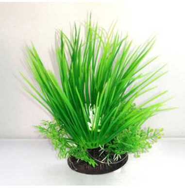 Iarbă verde de mare cu plante mici la bază