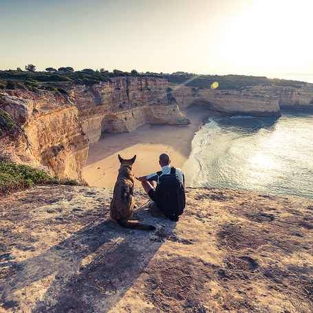 Julius-K9 IDC neonzöld/sárga powerhám kutyáknak