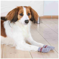 Trixie csíkos kutyazokni #2