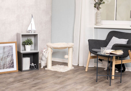 Trixie Baza kaparófa