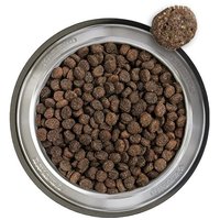 Belcando Baseline Explorer - Kis és közepes testű kutyák számára #2