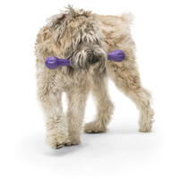 West Paw Zwig apport #9