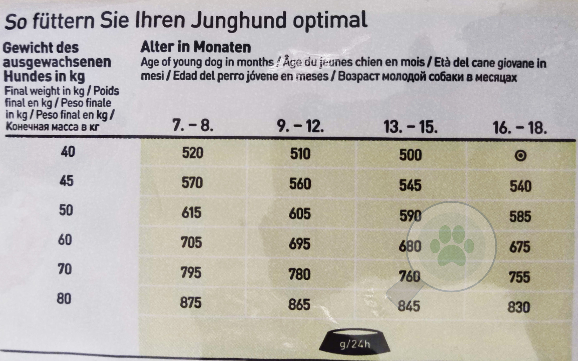 Happy Dog Junior Giant Lamb & Rice | Hrană uscată pentru câini junior de talie foarte mare - zoom