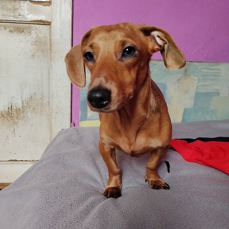 Mia