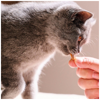 Beaphar Easy Dental Treat macskáknak #3