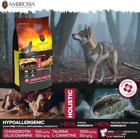 Ambrosia Dog Adult GF Beef & Fresh Salmon