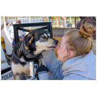 Stacy, 6 éves leányka #12