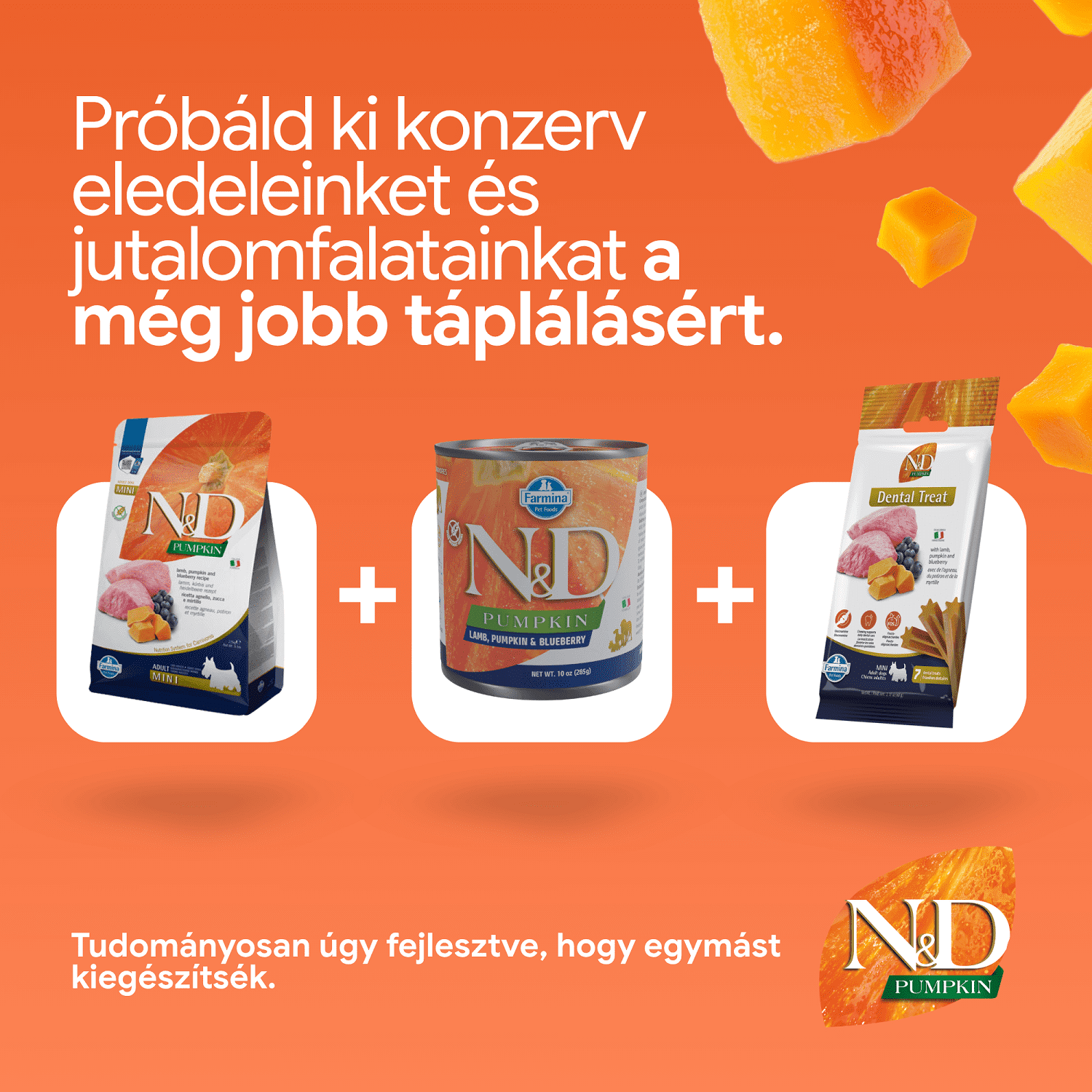 N&D Dog Grain Free Adult Mini sütőtök, bárány & áfonya