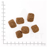 Belcando Junior Maxi | Prémium német táp nagytestű növendék kutyáknak #9