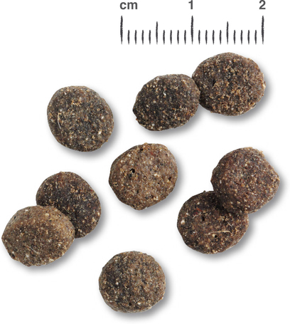 Belcando Finest Grain-Free Lamb | Táp válogatós, gabonára érzékeny kutyáknak | Kis- és közepes testméretű fajtáknak