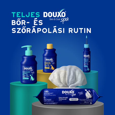 Douxo Spa szagsemlegesítő sampon kutyáknak