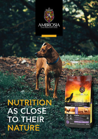 Ambrosia Dog Adult GF Fresh Venison & Lamb