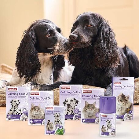 Beaphar Collier Calmant – Nyugtató hatású nyakörv kutyáknak