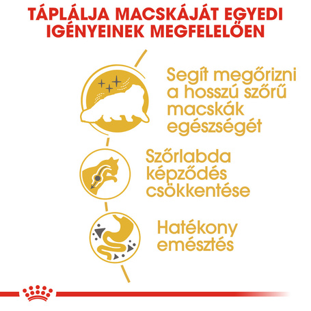 Royal Canin Persian Adult - Perzsa felnőtt macska száraz táp