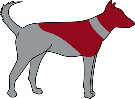 Trixie felfújható műtéti gallér kutyáknak