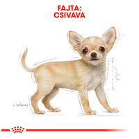Royal Canin Chihuahua Junior - Csivava kölyök kutya száraz táp #2