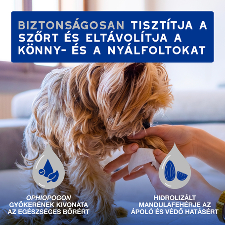 Douxo Spa nedves törlőkendő kutyáknak és macskáknak