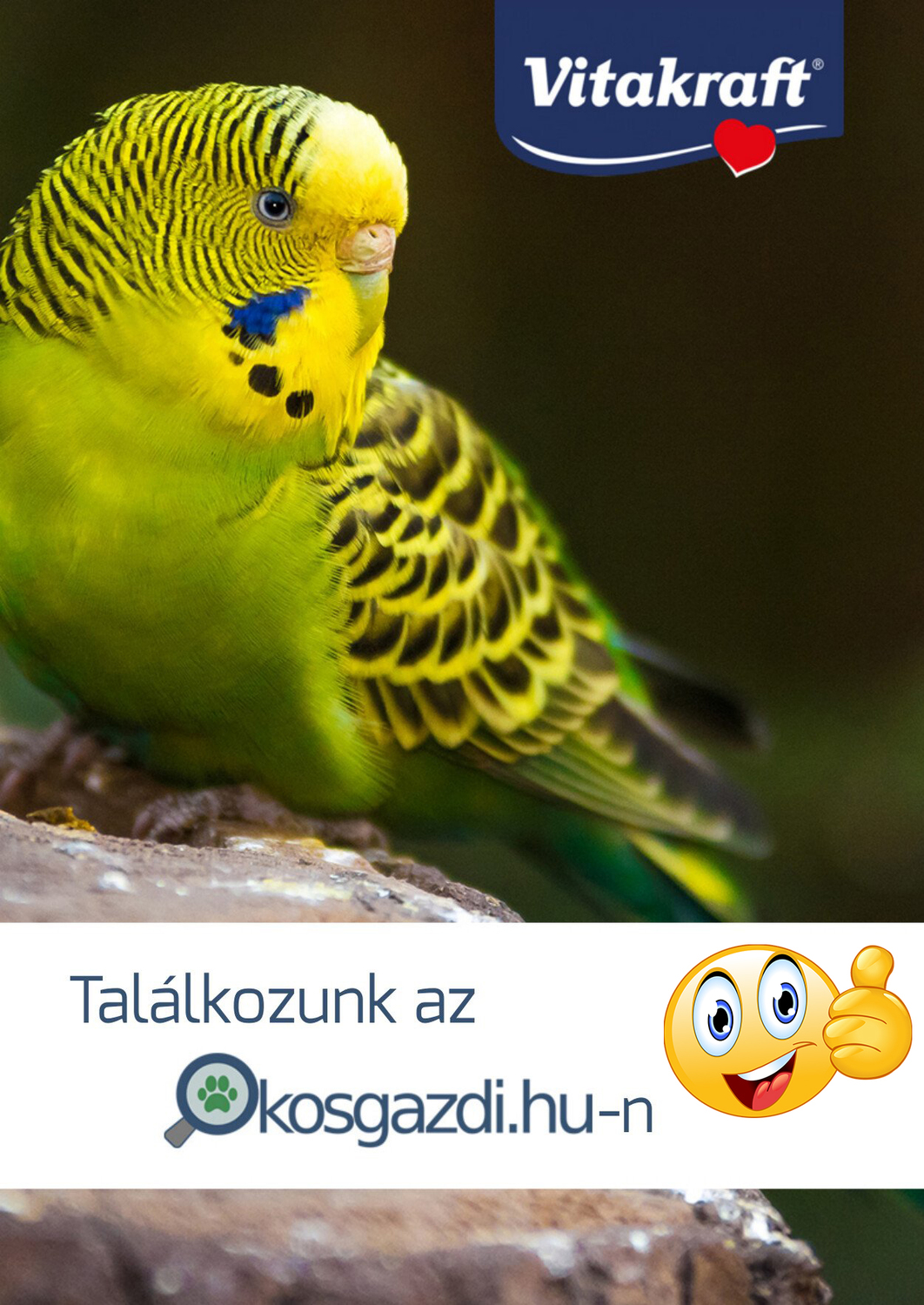 Vitakraft Kracker Calci Fit - Dublu baton cu calciu pentru papagali ondulați - zoom