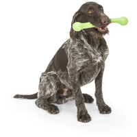 West Paw Zwig apport #6