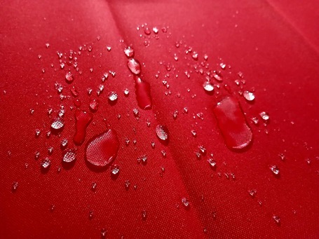 Vízhatlan és strapabíró kutyafekhely