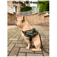 Julius-K9 IDC terepmintás powerhám kutyáknak #4