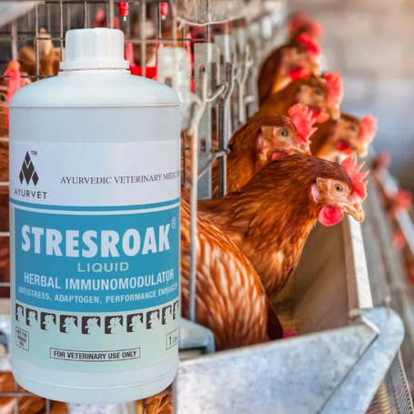 Stresroak stressz elleni, immunerősítő itatófolyadék