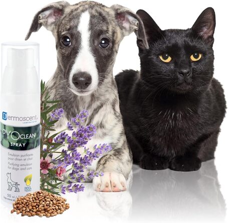 Dermoscent PYOclean Spray kutyáknak és macskáknak