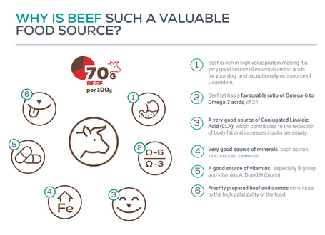 Raw Paleo Ultra Adult Mini Beef