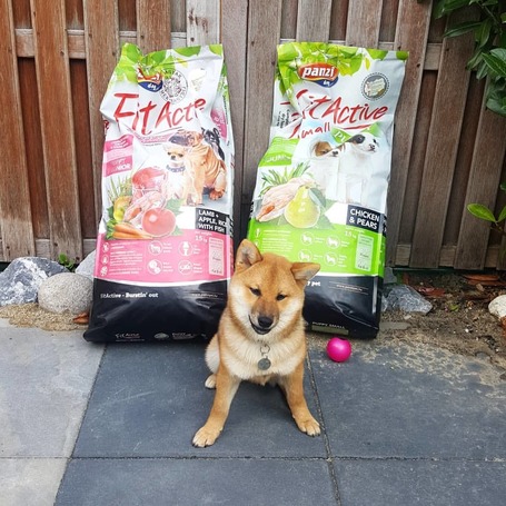 FitActive Puppy & Junior Lamb, Apple & Rice | Táp kölyök és növendék kutyáknak