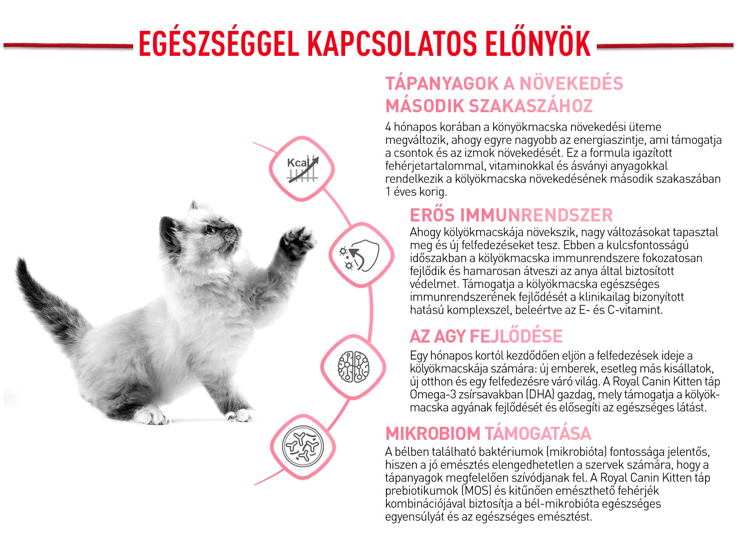 Royal Canin Kitten termékelőnyök