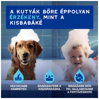 Douxo Spa fültisztító kutyáknak és macskáknak #3