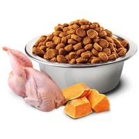 N&D Dog Grain Free Adult Medium/Maxi sütőtök, fürj & gránátalma szuperprémium kutyatáp #2