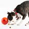 Rogz Tumbler jutifalattal tölthető labda kutyáknak