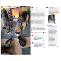 Ambrosia Dog Grain Free Senior, Light & Sterilized #17