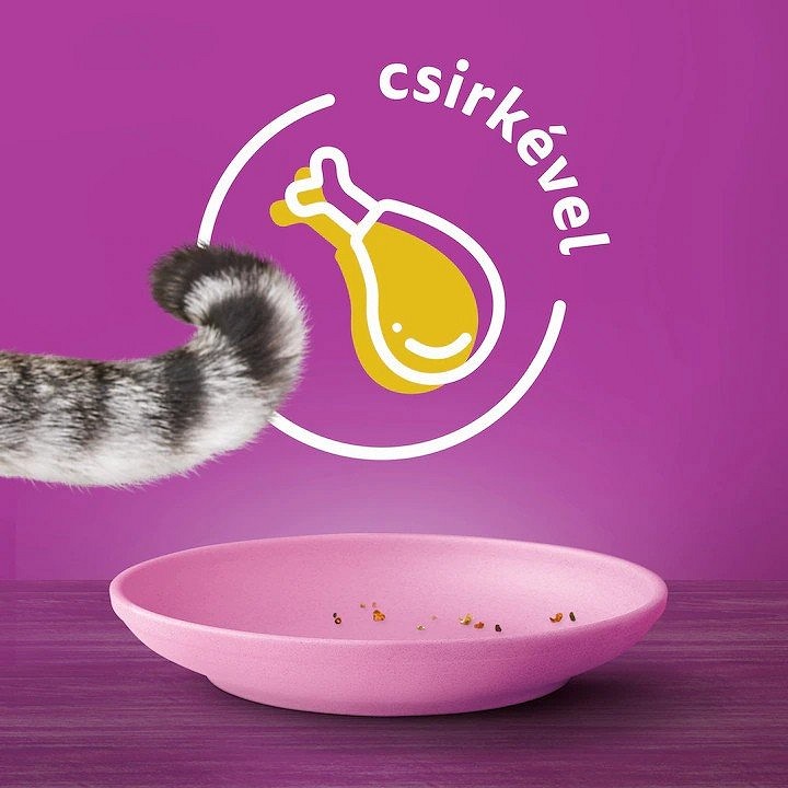 Whiskas Junior - Hrană uscată pentru pisicuţe junior, cu pui - zoom