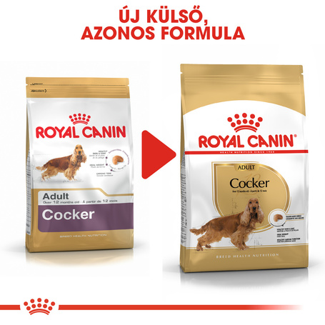 Royal Canin Cocker Adult - Cocker Spániel felnőtt kutya száraz táp