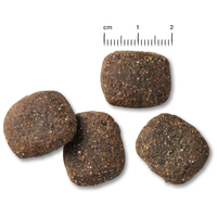 Belcando Adult Active #3