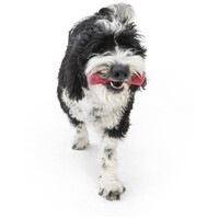 West Paw Seaflex Drifty - Csontot imitáló rágóka #13