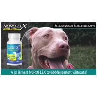 Noroflex ízületvédő #4