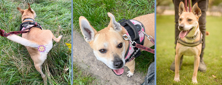 Ismerd meg Natasát, aki akár a személyi edződ is lehetne :)