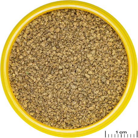 JBL ProNovo Killifish Click