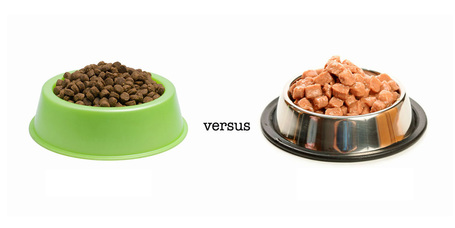 Száraz vagy nedves macskaeledel - melyik a jobb és miért?