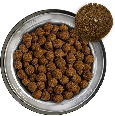 Belcando Baseline Buddy - Normál aktivitású kutyáknak