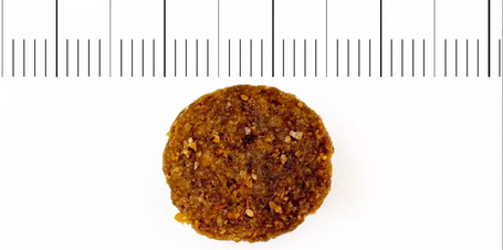 Profine Junior Large Salmon & Potatoes