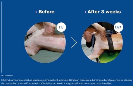 Douxo S3 Calm sampon kutyáknak és macskáknak