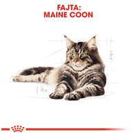 Royal Canin Maine Coon Adult - Maine Coon felnőtt macska nedves táp #2
