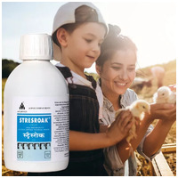 Stresroak stressz elleni, immunerősítő itatófolyadék #8